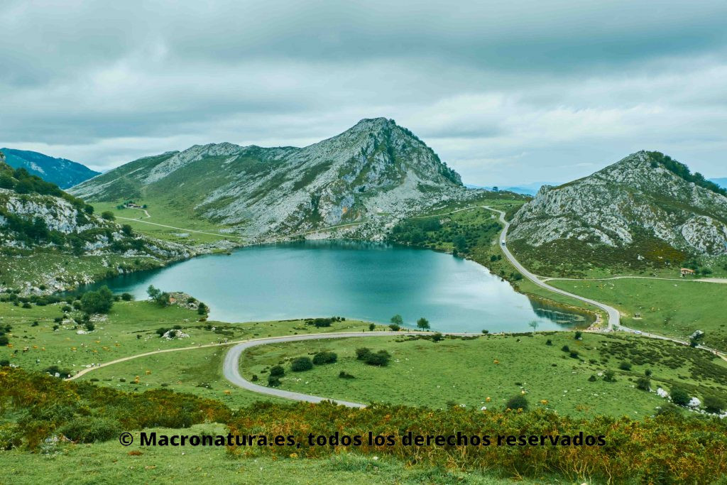 Vistas del Lago Enol, en Lagos de Covadonga, Picos de Europa. Asturias. 