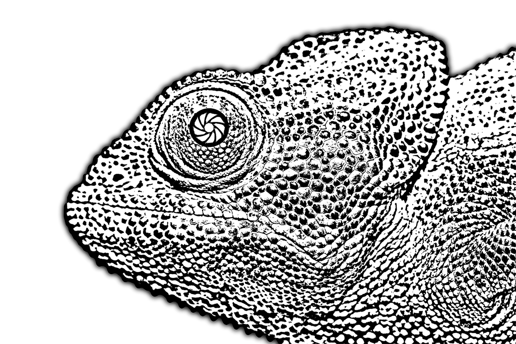 Ojo de camaleón con un objetivo diafragma en el iris pupila