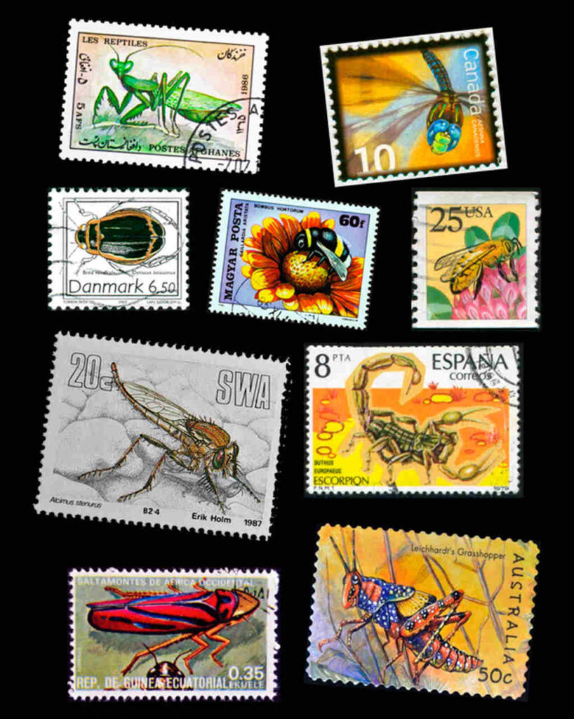 Collage de Sellos de insectos. Entomofilatelia.